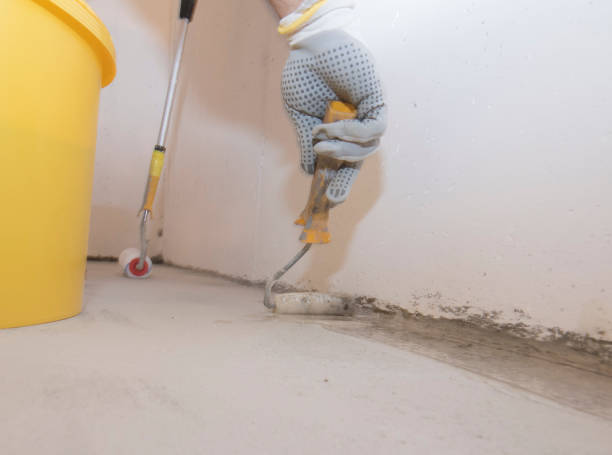 Best Termite Inspection and Treatment  in Pierceton, IN